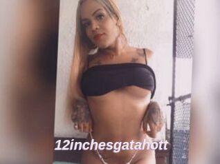 12inchesgatahott