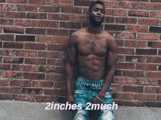 2inches_2much