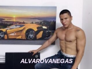 ALVAROVANEGAS