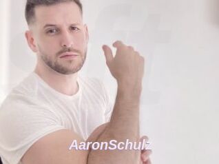 AaronSchulz