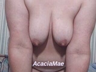 AcaciaMae