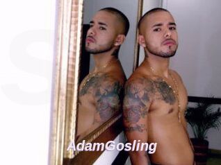 AdamGosling