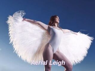 Aerial_Leigh