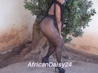 AfricanDaisy24