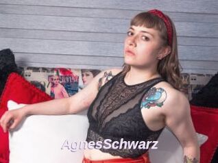 AgnesSchwarz