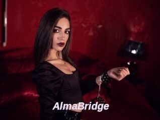 AlmaBridge