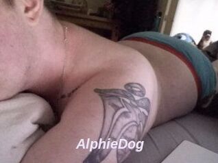 Alphie_Dog