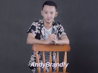 AndyBrandly