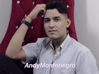 AndyMontenegro