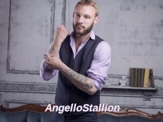 AngelloStallion