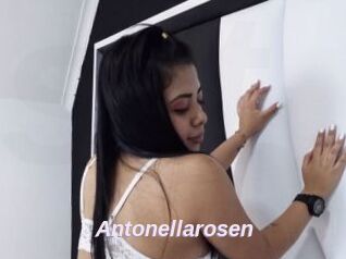 Antonellarosen