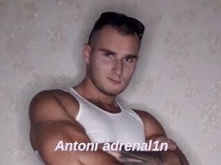 Antoni_adrenal1n