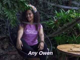 Any_Owen