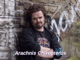 Arachnis_Chiropterus