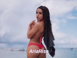 AriaRise
