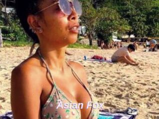 Asian_Fox