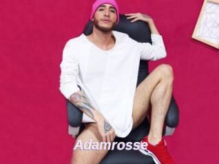 Adamrosse