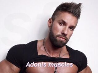 Adonis_muscles