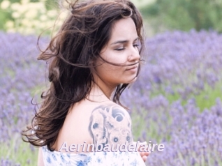 Aerinbaudelaire
