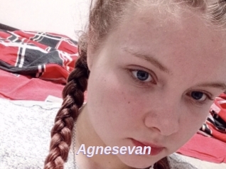 Agnesevan