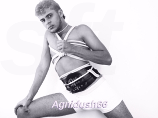 Agnidush66