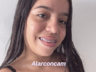 Alarconcam