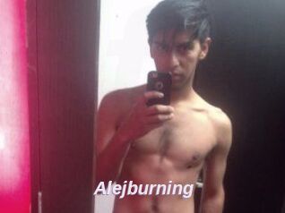 Alejburning