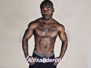 Alexandercolt