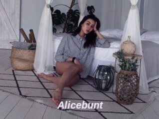 Alicebunt