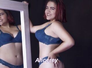 Alicerey