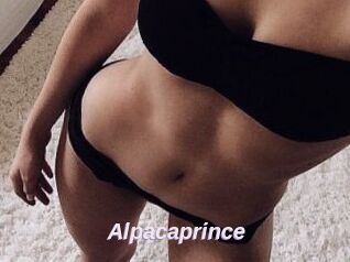 AlpacaPrince