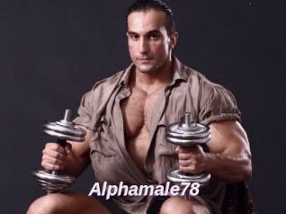 Alphamale78