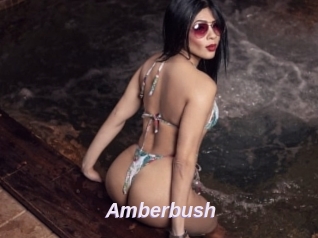 Amberbush