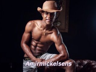 Amirmickelsens