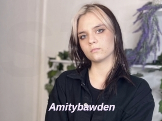 Amitybawden