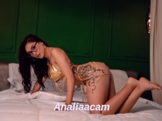 Analiaacam