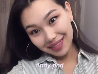 Andy_pnd