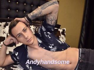 Andyhandsome