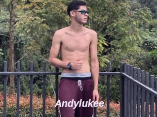 Andylukee