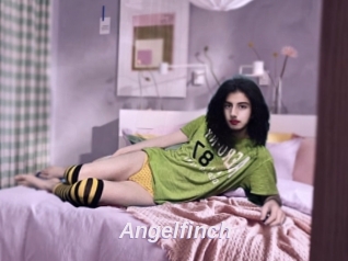 Angelfinch