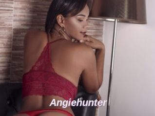 Angiehunter