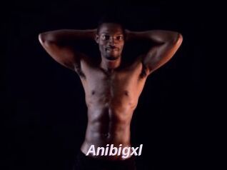 Anibigxl