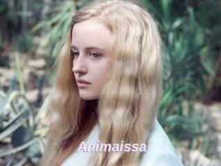 Animaissa