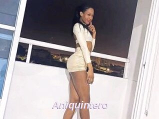 Aniquintero
