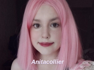 Anitacollier