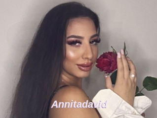Annitadavid