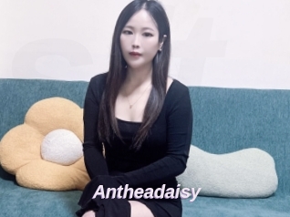Antheadaisy