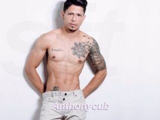 Anthonycub