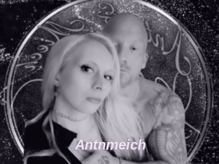 Antnmeich