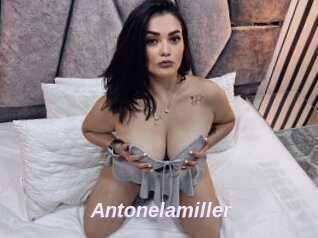 Antonelamiller